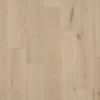Panorama Caspa Brush Matt Lacq 150mm